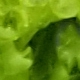 0986621116